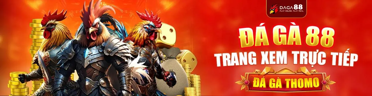 Sân chơi đá gà trực tuyến sgd777 với hình ảnh trực tiếp sinh động